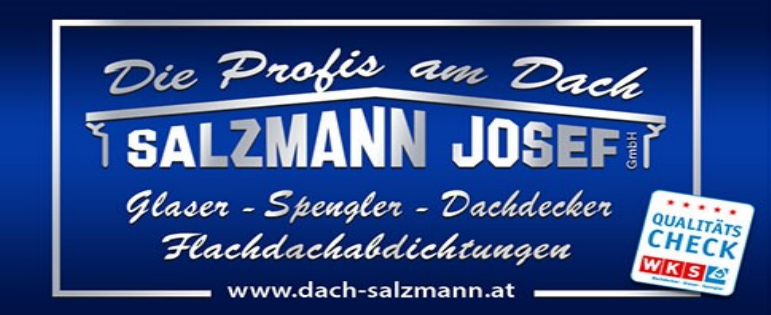 Dach Salzmann Josef GmbH Logo